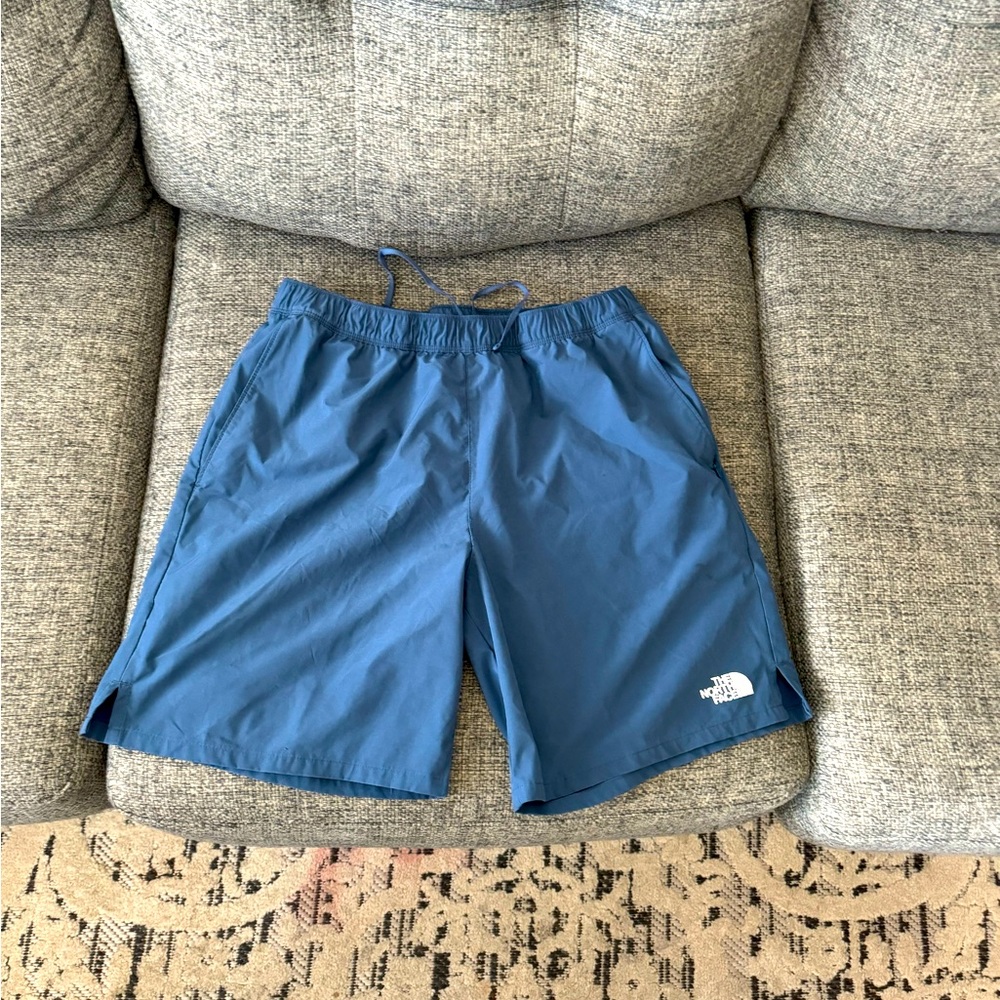 The north face shorts